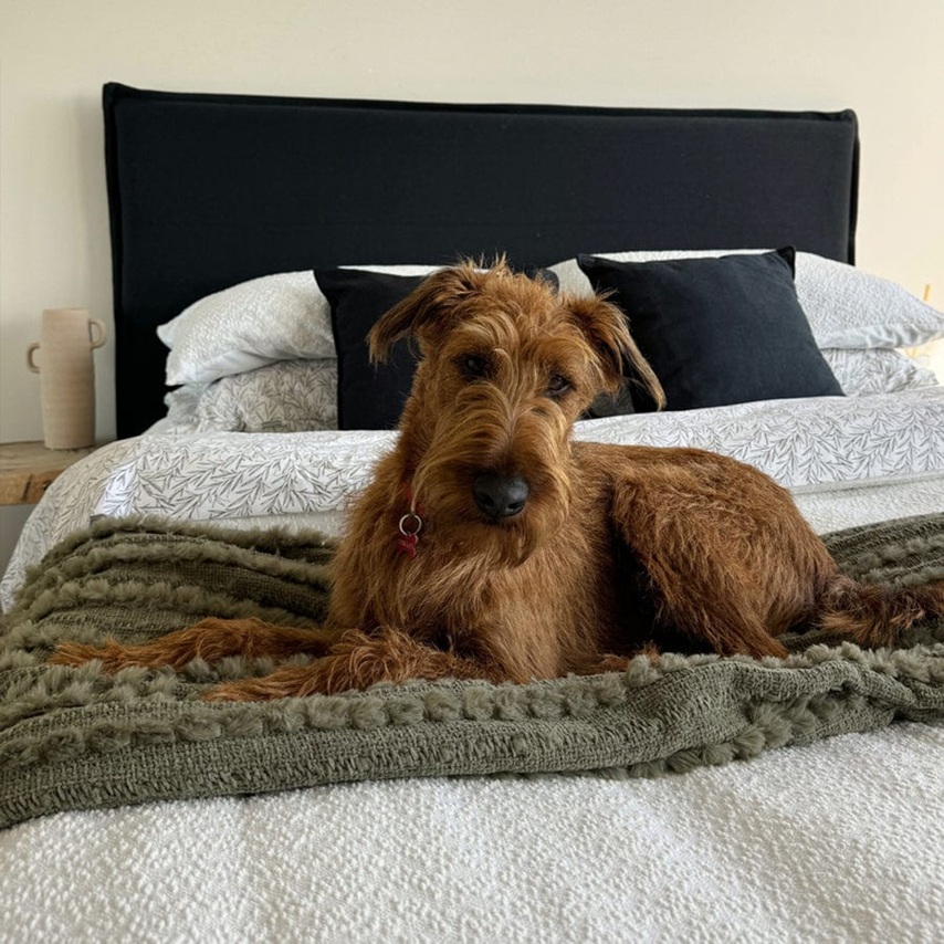 Juno Bedhead with Slipcover King Size Black
