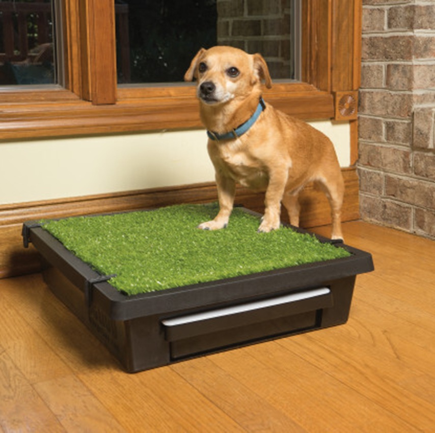 PetSafe Pet Loo Portable Dog Toilet Tray (Small)
