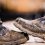 Grit Meets Grip: The Ultimate Redback Boots Buying Guide