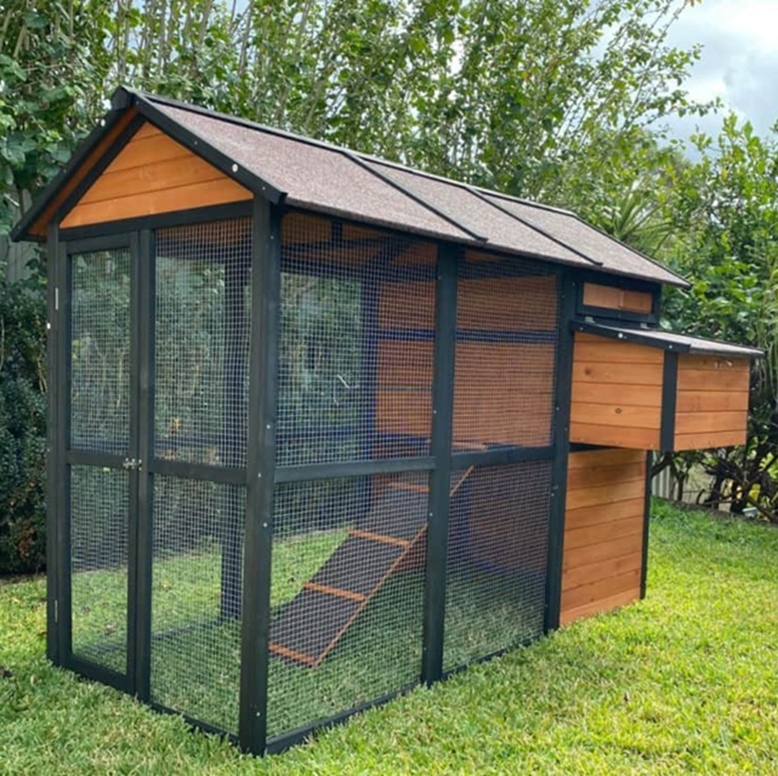 Connie Chicken Coop