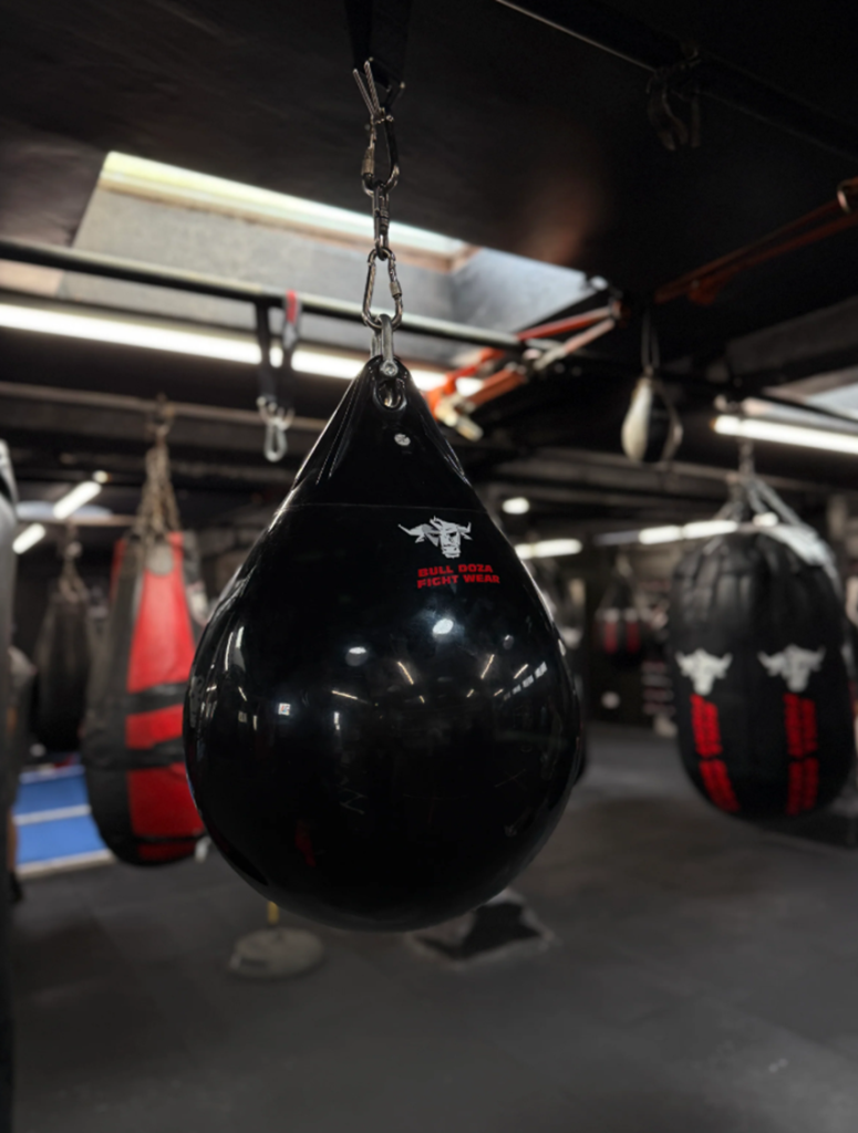 bag for boxing