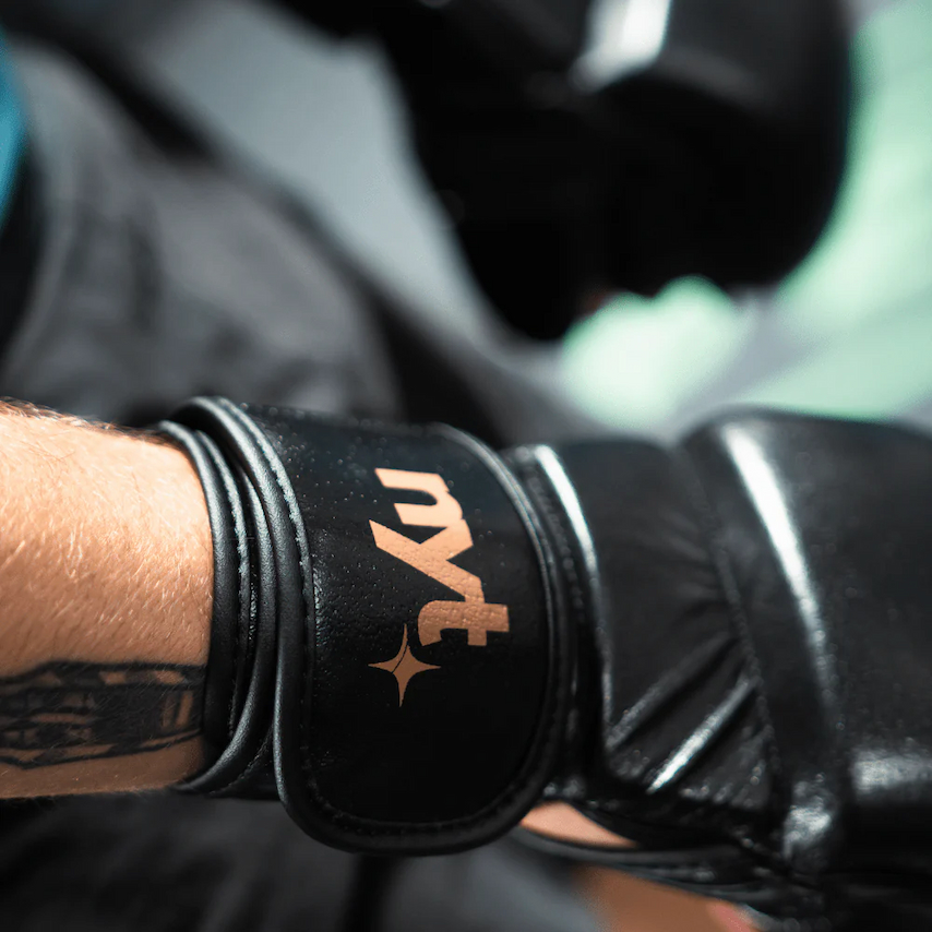 MMA Training