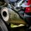 Info On Universal Exhaust Tubing: The Cost Effective Solution for Powerful Engine