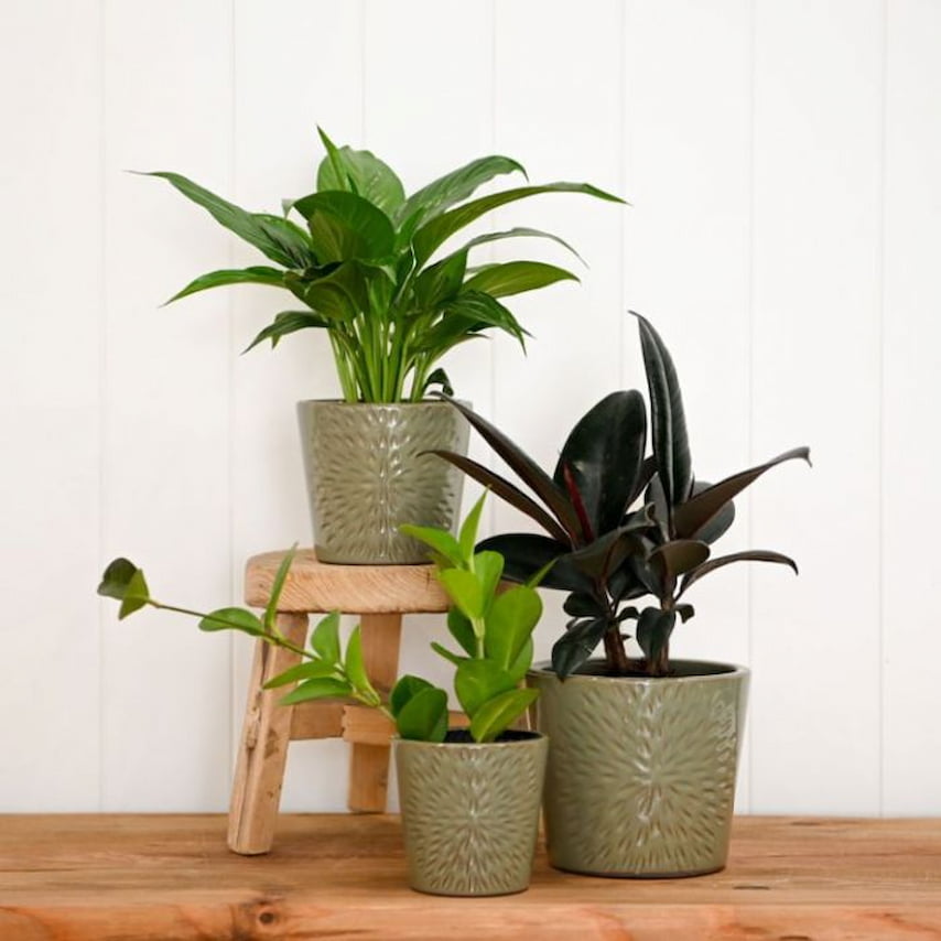 collection-louisa-planter-sage
