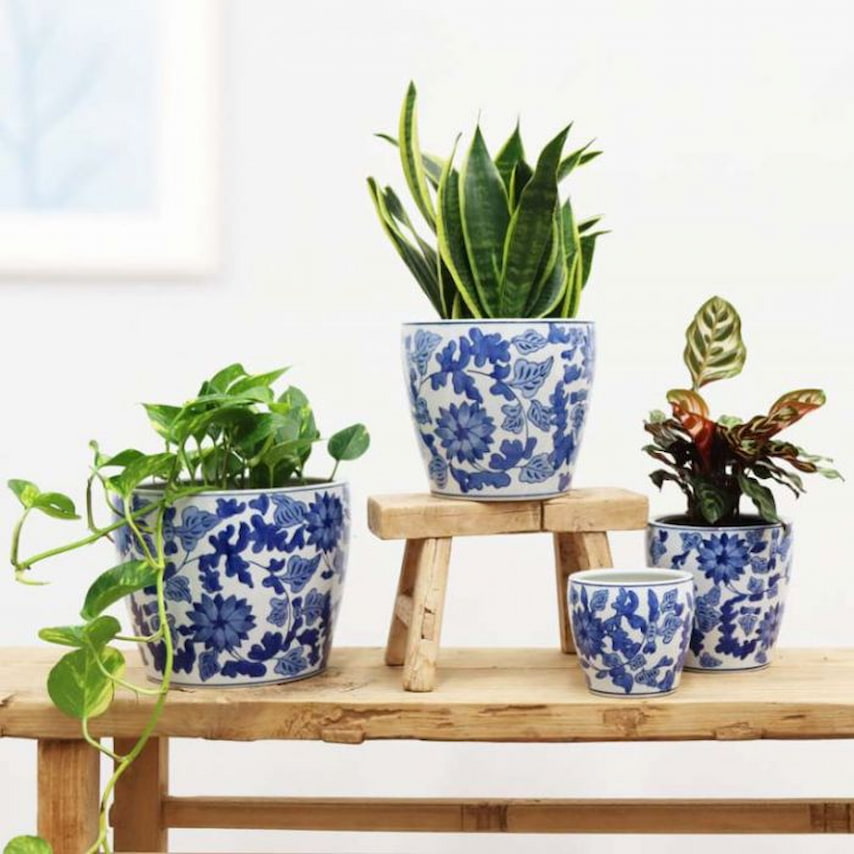 collection-oriental-vine-planter-blue